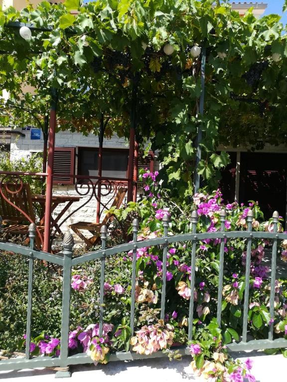 Vonkajšia záhrada v ubytovaní SUMMER TIME
