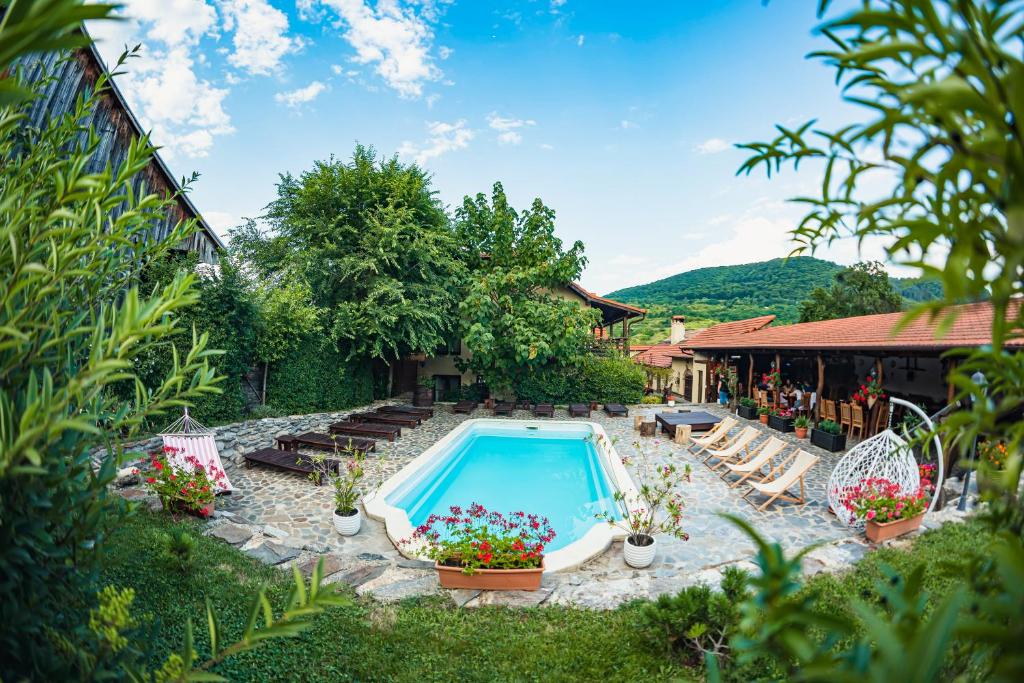 Casa Dives - Transylvania في Pianu de Sus: مسبح في ساحة فيها كراسي وزهور