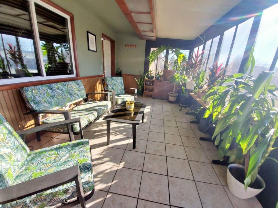 a lobby with chairs and potted plants in a building at The Greenhouse - 3bed 2bath home in Tahlequah, OK in Tahlequah