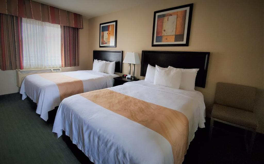 Quality Inn & Suites Anaheim at the Park - Standard Room, 2 Queen Beds, Non Smoking