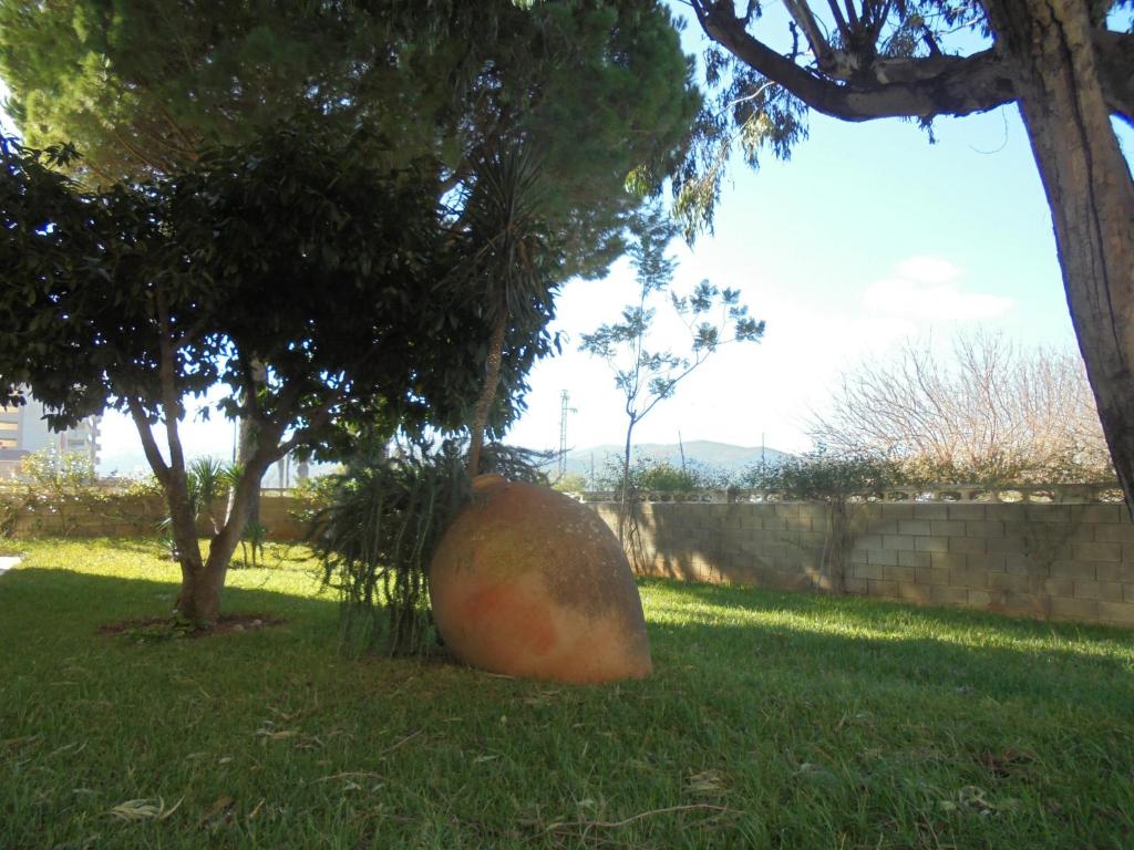 A garden outside Castillo de Peñiscola 4/6 LEK