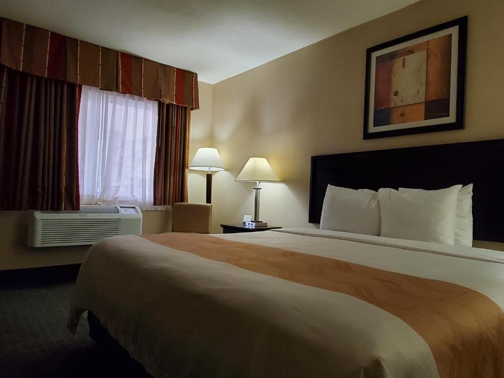 Quality Inn & Suites Anaheim at the Park - Standard Room, 1 King Bed, Accessible Roll-In Shower, Non Smoking