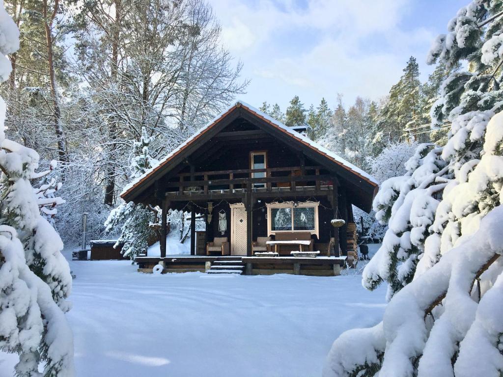 una cabaña de madera en la nieve con árboles nevados en Namelis Rudnios kaime “Nykštukas”, en Rudnia