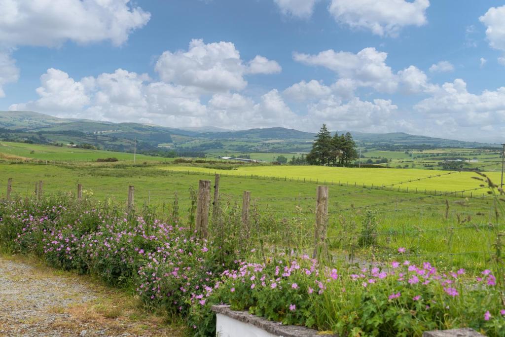 a field with pink flowers and a fence at Summer Cottage located in rural Welsh Countryside, beautiful mountain views, Ideal for Snowdonia walkers in Gwytherin