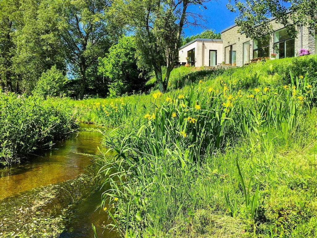a stream in a field with a house and flowers at Holiday home Holstebro II in Holstebro