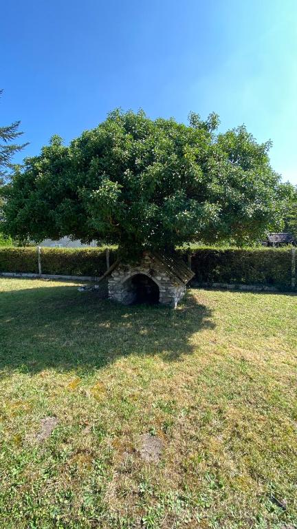 Jardin de l'établissement La nébuleuse