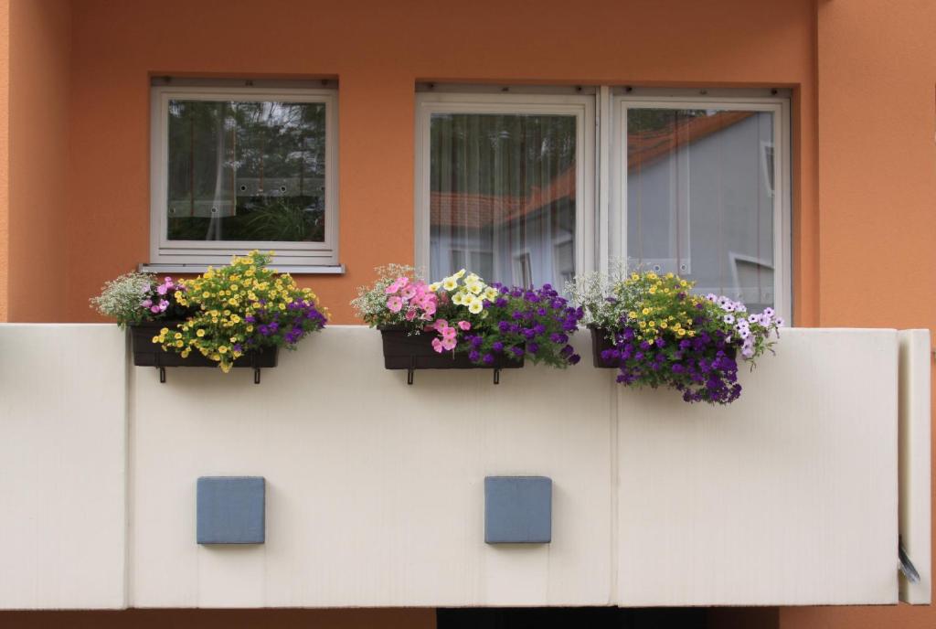 Fotografie z fotogalerie ubytování Ferienwohnung Markmann v destinaci Schwabach