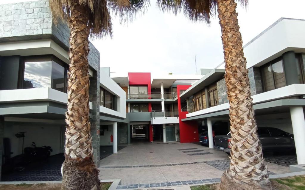 dos palmeras delante de un edificio en Departamentos Kairos H en Mendoza