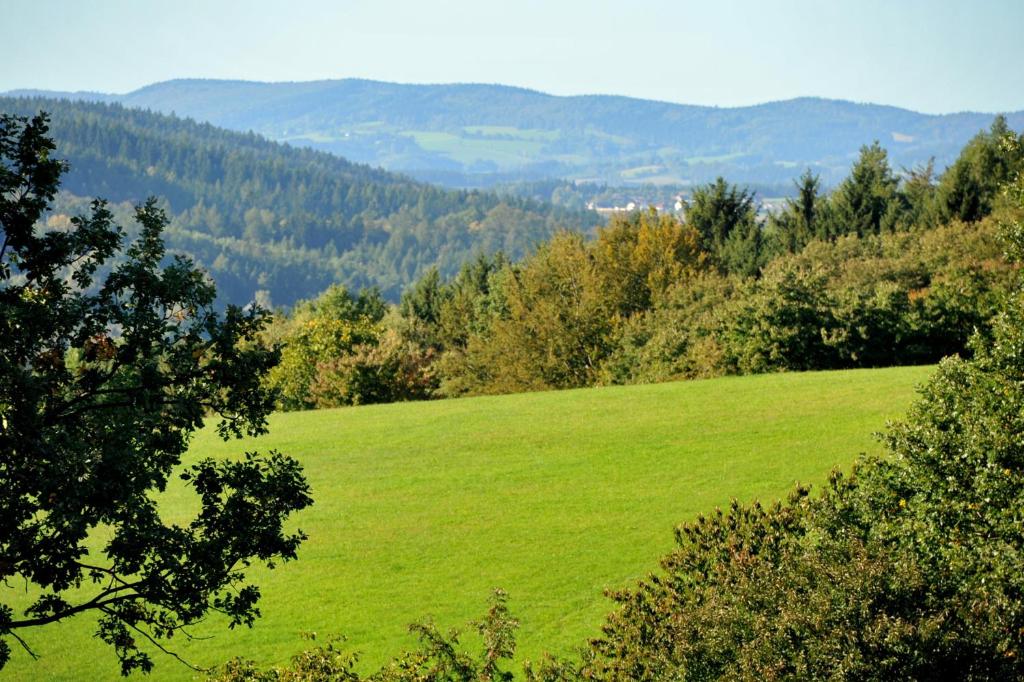 Příroda nedaleko apartmánu