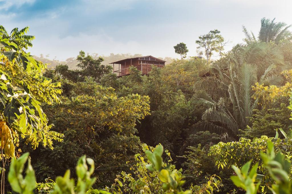 Photo de la galerie de l'établissement La Casita del Bosque, à Santa Marta