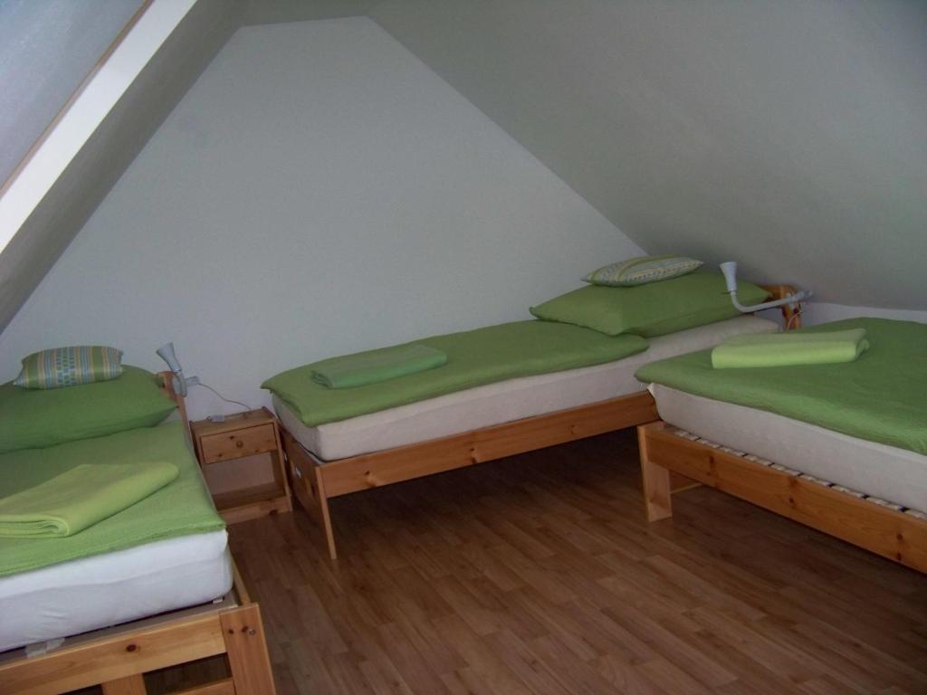 two twin beds in a room with green sheets at Tisá 488 in Tisá