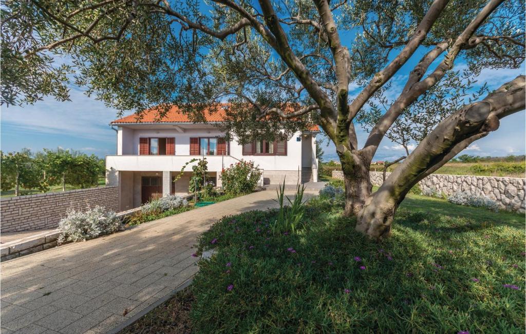 uma casa branca com uma árvore em frente em Pet Friendly Home In Privlaka With Wifi em Privlaka