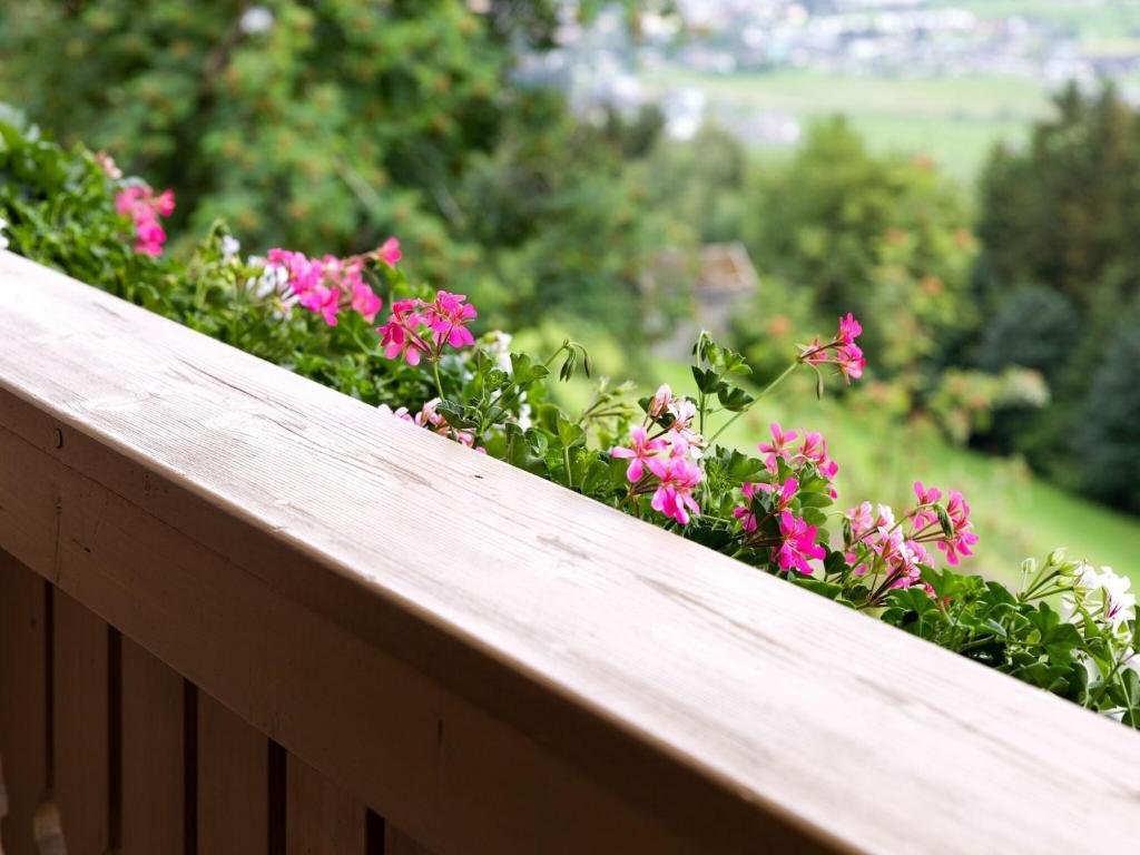 Vonkajšia záhrada v ubytovaní Beautiful holiday apartment