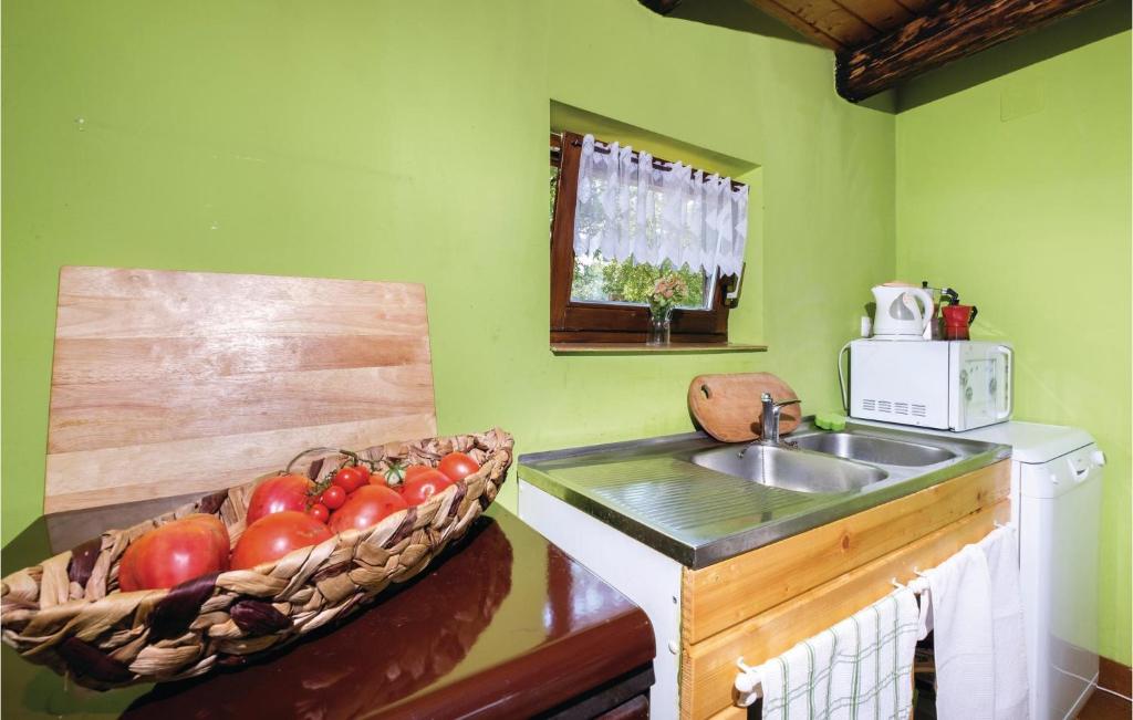 Kuchyň nebo kuchyňský kout v ubytování Two-Bedroom Holiday Home In Ozalj