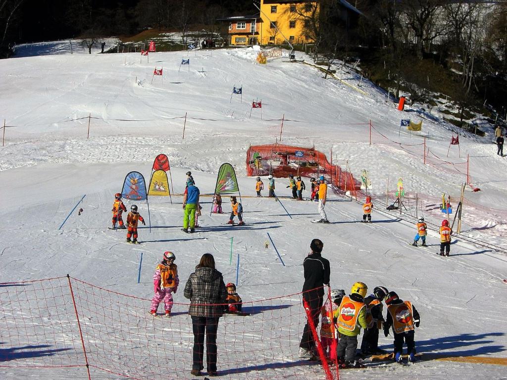 Hosté ubytování Chalet in Kötschach-Mauthen in a ski area