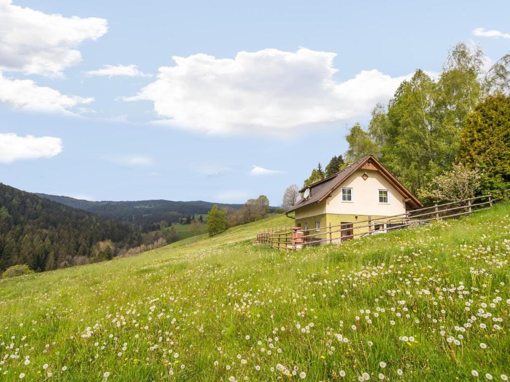 Reisberg的住宿－Holiday home in Sankt Andrae near Lake Klopeiner，花田上山丘上的房屋