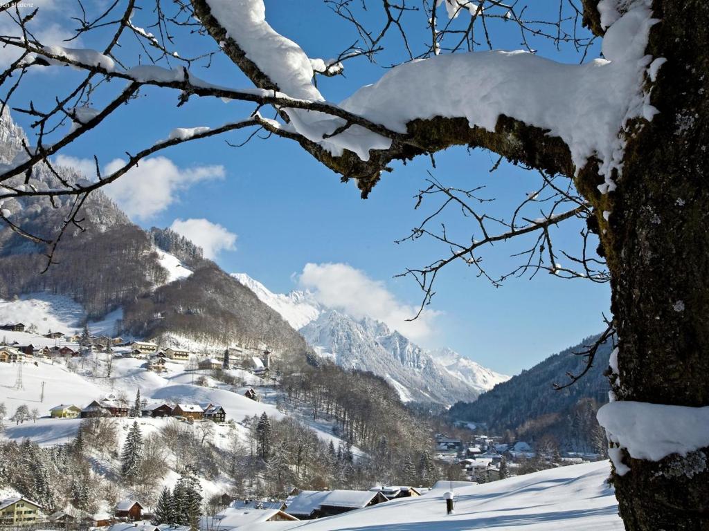 Apartment at the ski lift in Brand in Vorarlberg kapag winter
