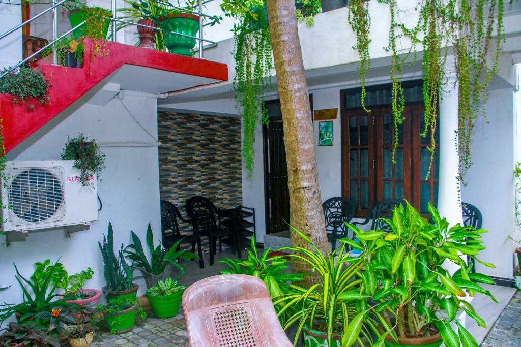 Zahrada ubytování Sigiri Tarushan Home Stay