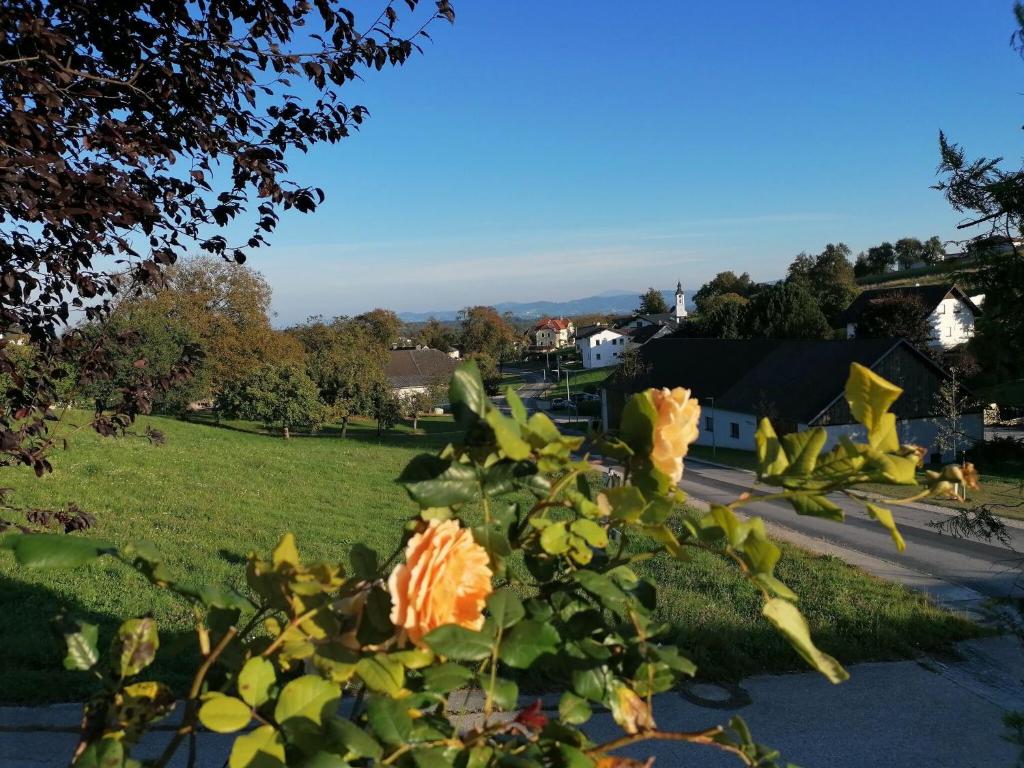 A garden outside Riverside Apartment in Oed-Öhling