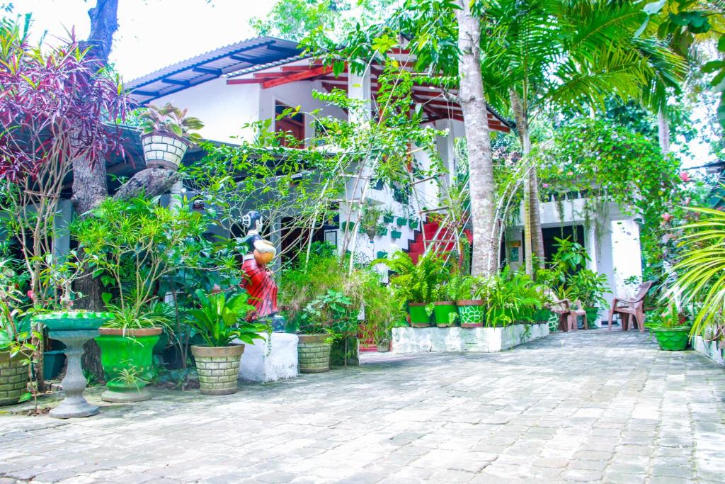 Zahrada ubytování Sigiri Tarushan Home Stay