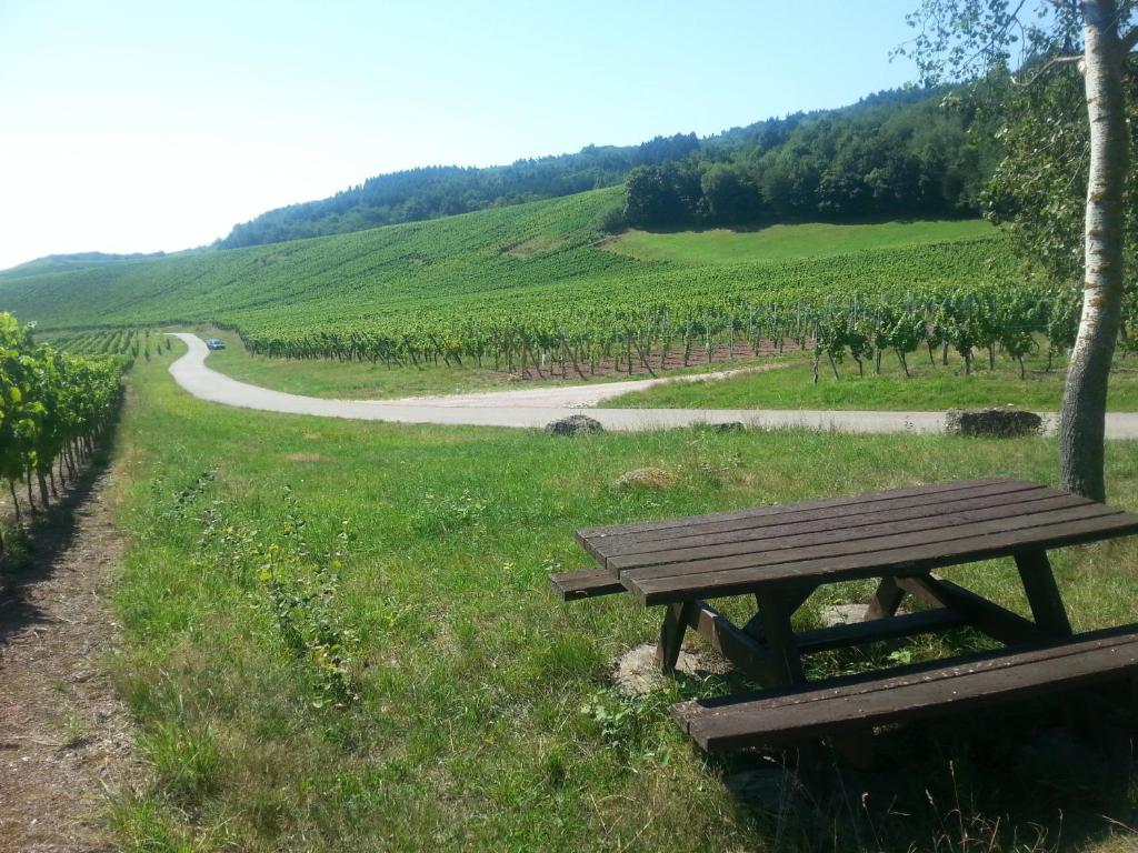 Příroda nedaleko bed and breakfast