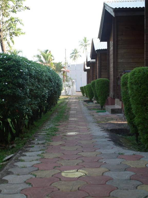 Okolí bed and breakfast