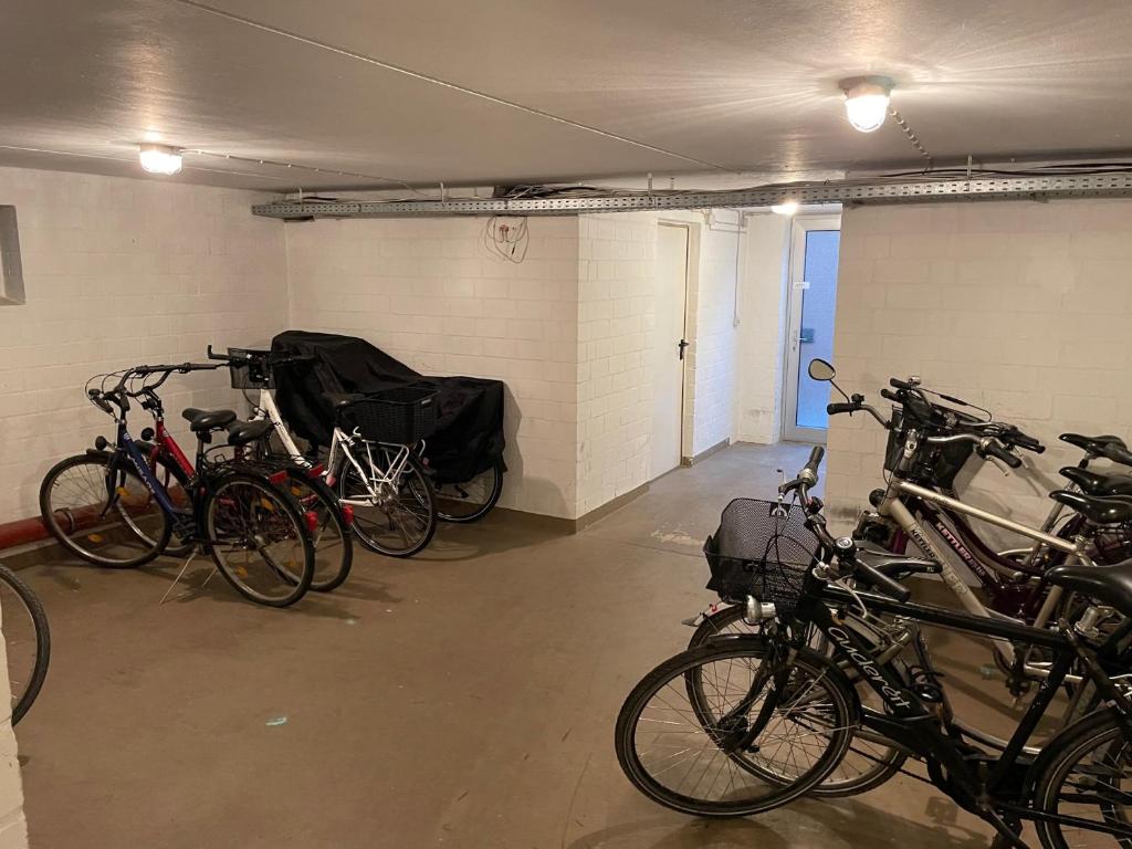 Jízda na kole v ubytování Ankerplatz Niendorf nebo okolí