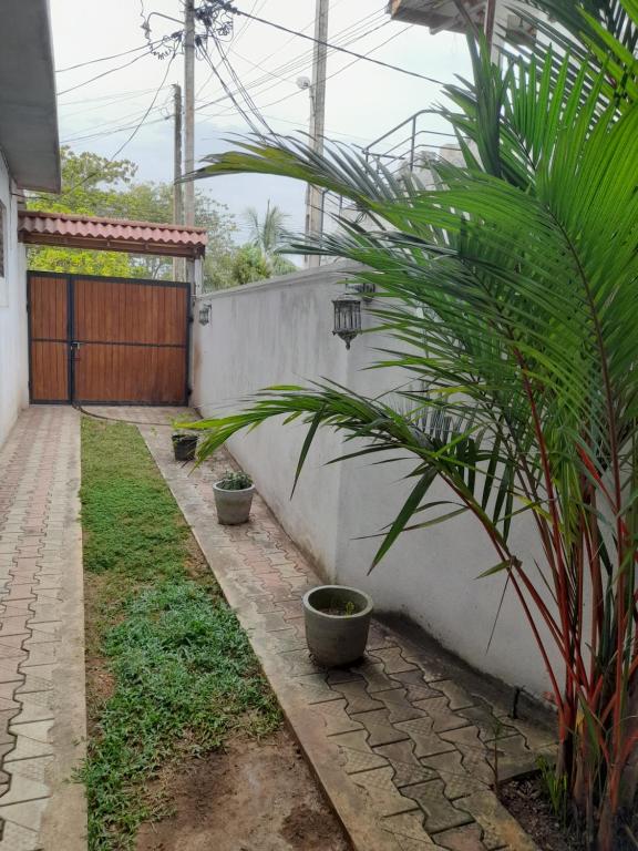 Zahrada ubytování Ceylon Casa