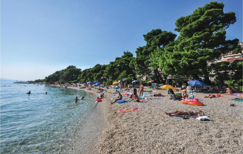 Príroda v okolí apartmánu