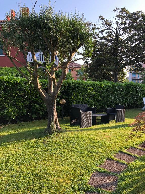 a tree in a park with chairs and a bench at Villa Dacri in Venice-Lido