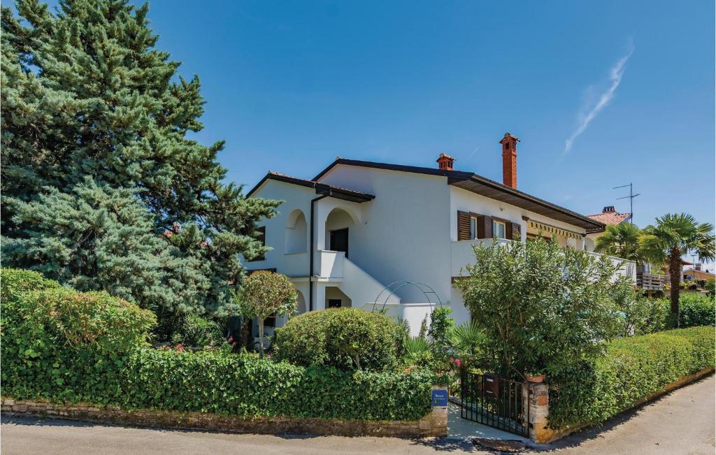 une maison blanche avec un arbre et des buissons dans l'établissement Awesome Apartment In Novigrad With 2 Bedrooms And Wifi, à Novigrad