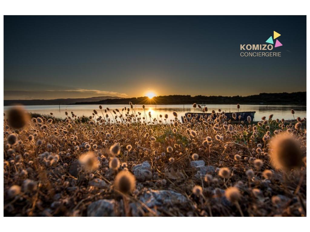 Příroda nedaleko apartmánu