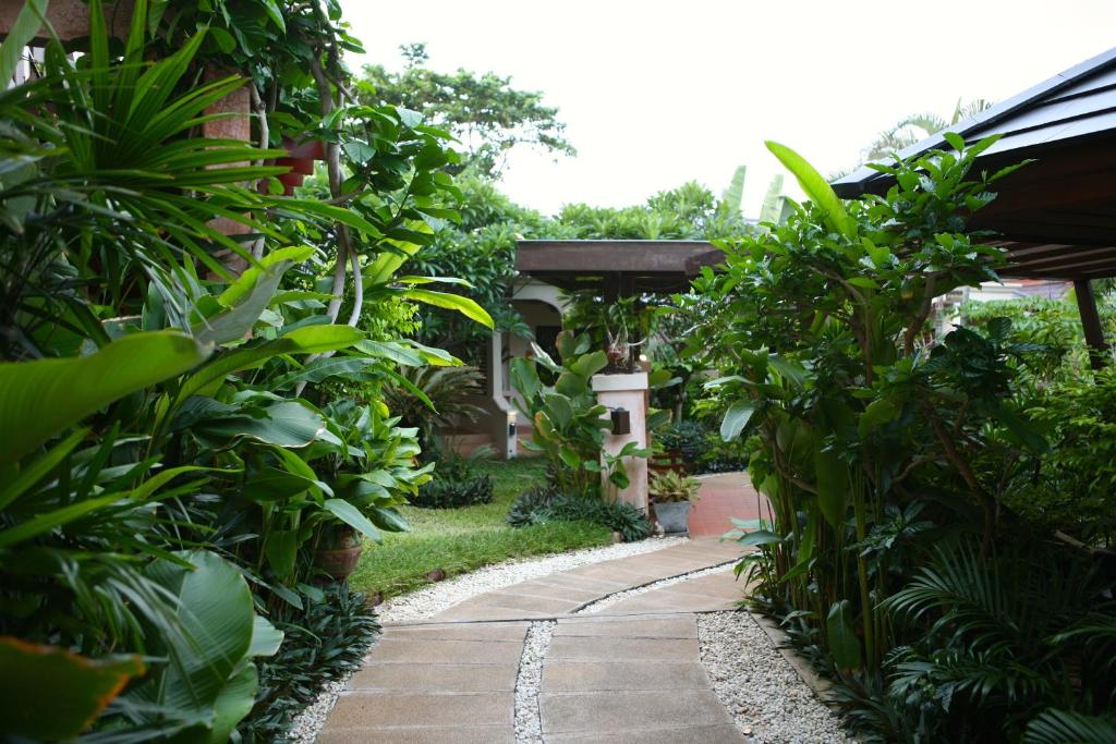 Zahrada ubytování Samui Jasmine Resort - SHA Plus