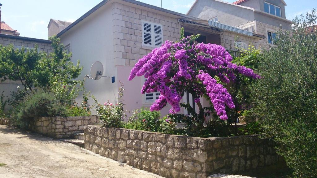 a purple plant in a stone wall in front of a house at Apartments Laura in Korčula