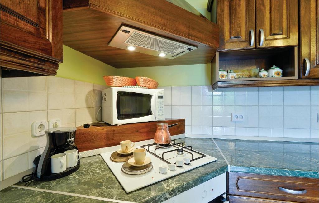 a kitchen with a stove and a microwave at Amazing Home In Vinica With Wifi in Vinica