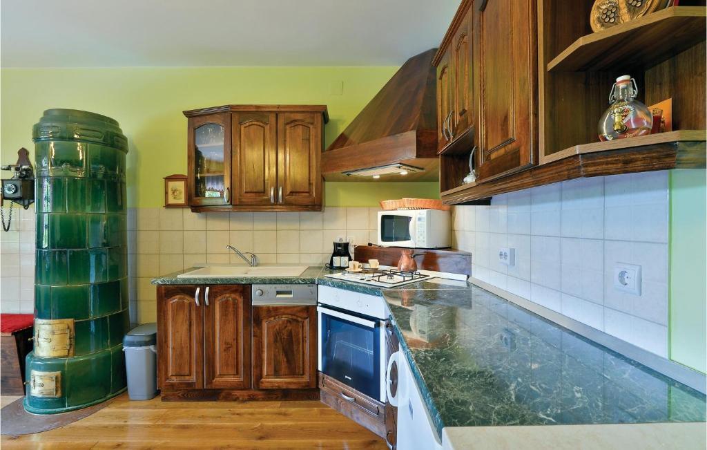Kuchyň nebo kuchyňský kout v ubytování Amazing Home In Vinica With Sauna