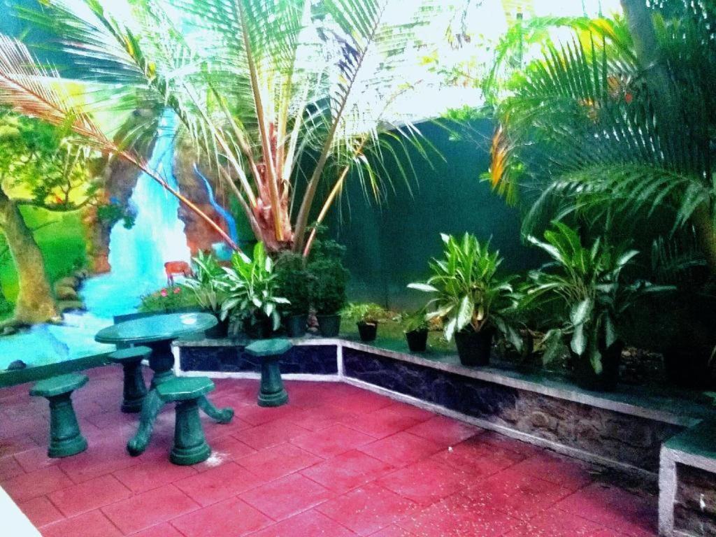 Zahrada ubytování Viyanga Homestay
