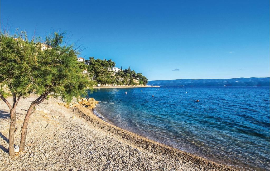 Príroda v okolí apartmánu