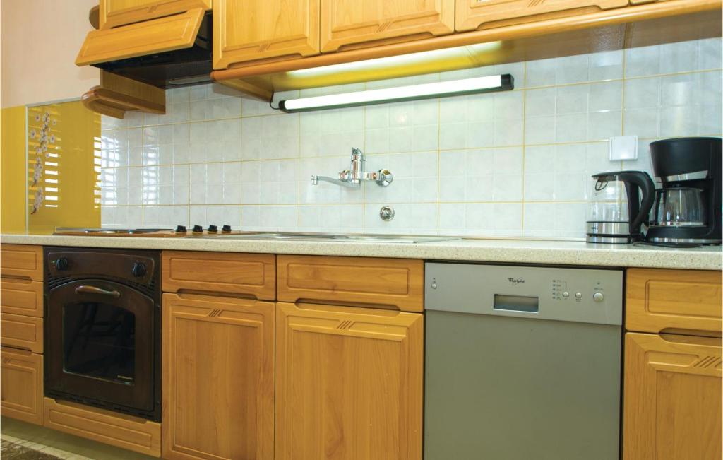 Kuchnia lub aneks kuchenny w obiekcie Apartment Karbuni Bb Iii