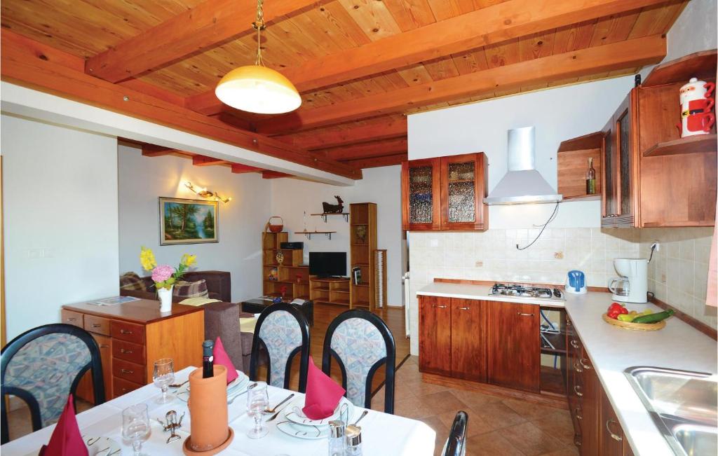 Kuchyň nebo kuchyňský kout v ubytování Holiday Home Jakacici Jakacici