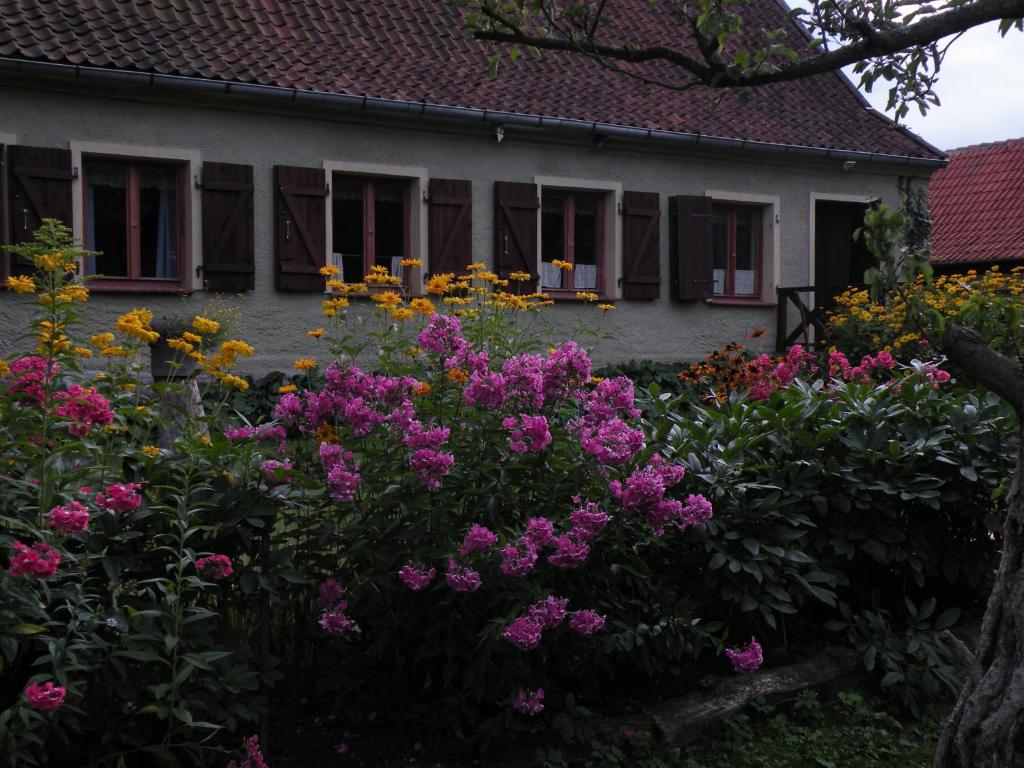 Gallery image of Letni domek na Mazurach in Sądry