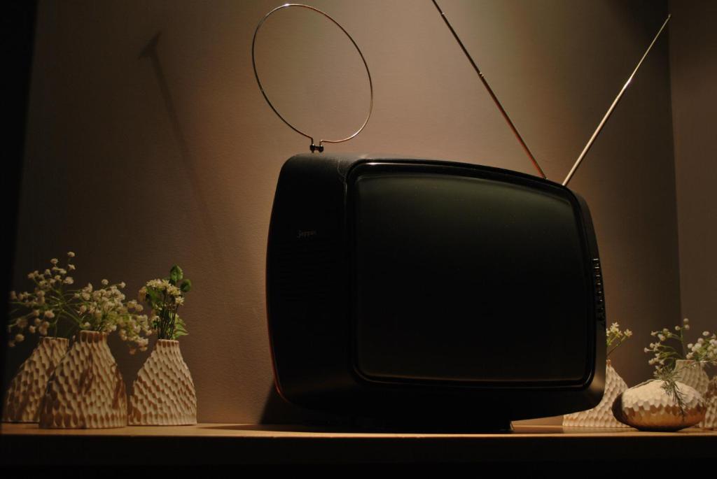 TV a/nebo společenská místnost v ubytování B&B Habita