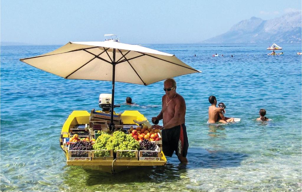 Príroda v okolí apartmánu