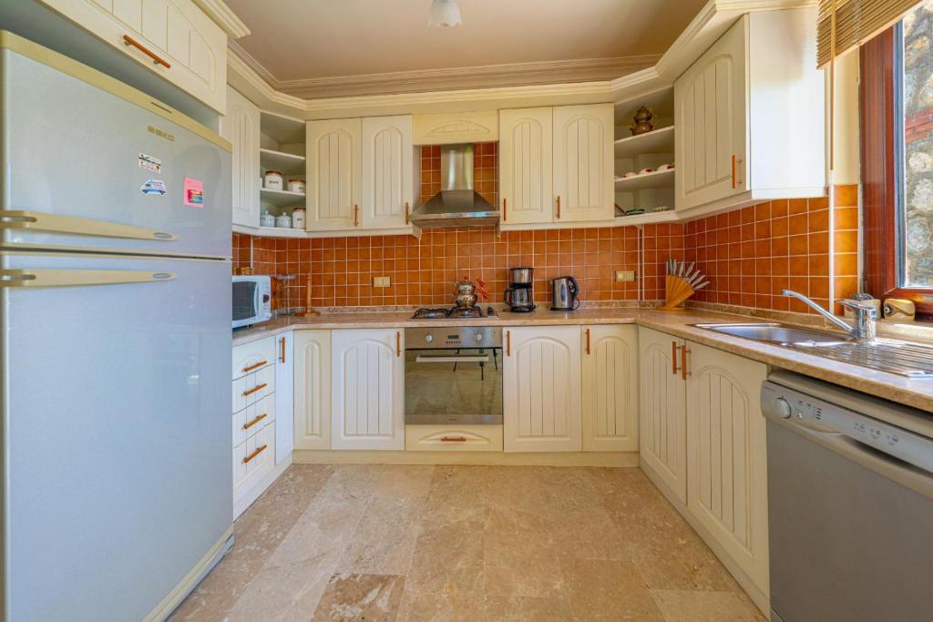 A kitchen or kitchenette at VILLA AYCHiN