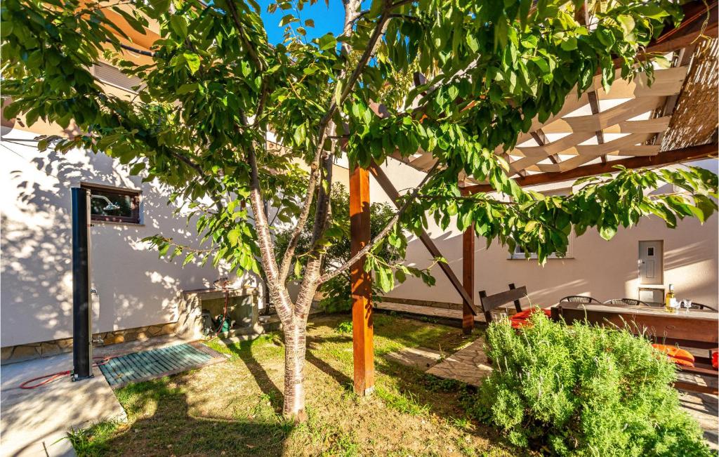 Vonkajšia záhrada v ubytovaní Four-Bedroom Holiday Home In Vrsi
