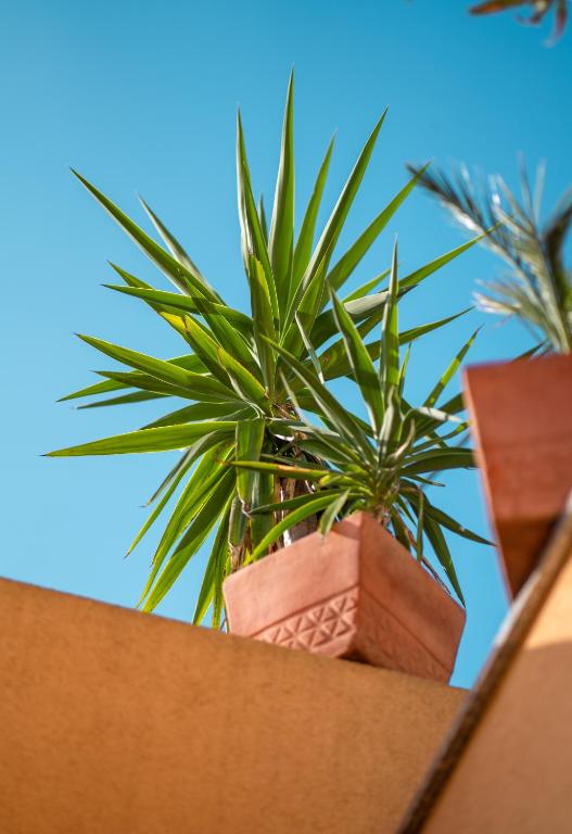Fotografie z fotogalerie ubytování Backpackers Home v destinaci Zadar