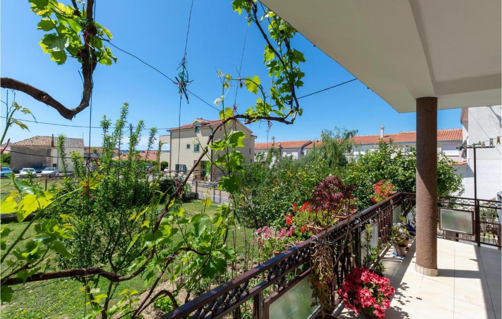 Zahrada ubytování Apartment Don Petra Katunarica Vi