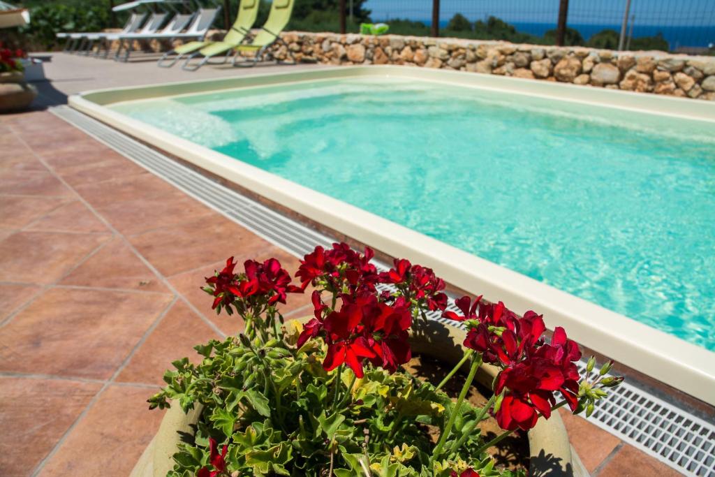 カステッランマーレ・デル・ゴルフォにあるVilla Calabiancaの赤い花のプールの隣