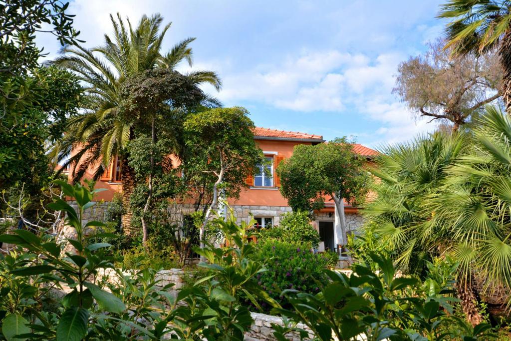 una casa de naranjos con palmeras delante de ella en Villa For, en Hvar