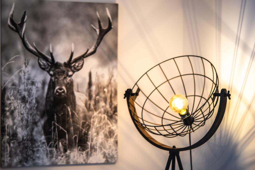 Fotografie z fotogalerie ubytování Bergzeit Appartments v Bad Gasteinu